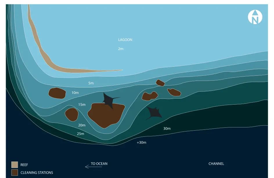Bathymetric map of Kudafalhu Manta Point