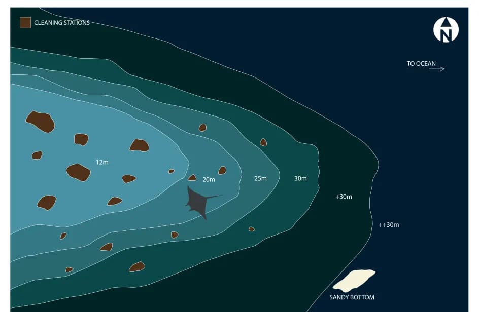 Bathymetric map of Maavaidhoo Thila