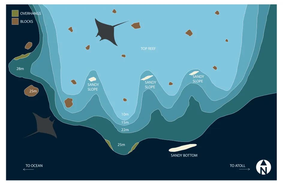 Bathymetric map of Boduhithi Thila
