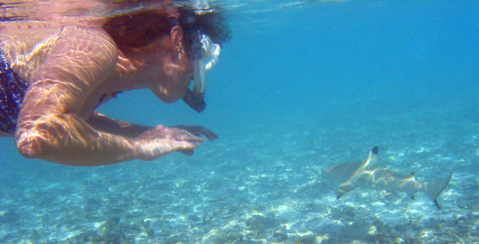 Baa Reef Edge