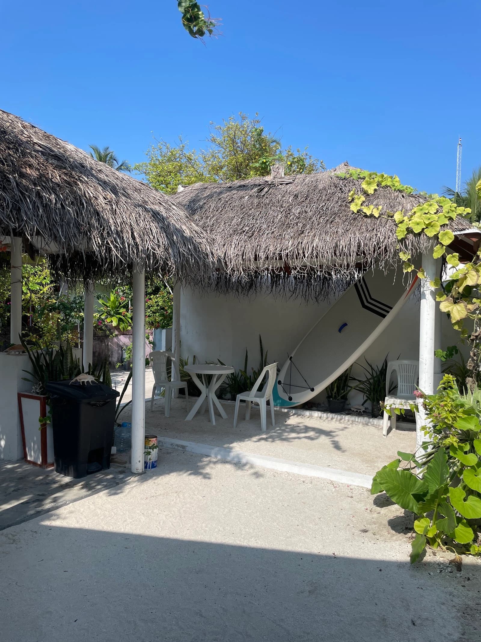 Alkina Lodge