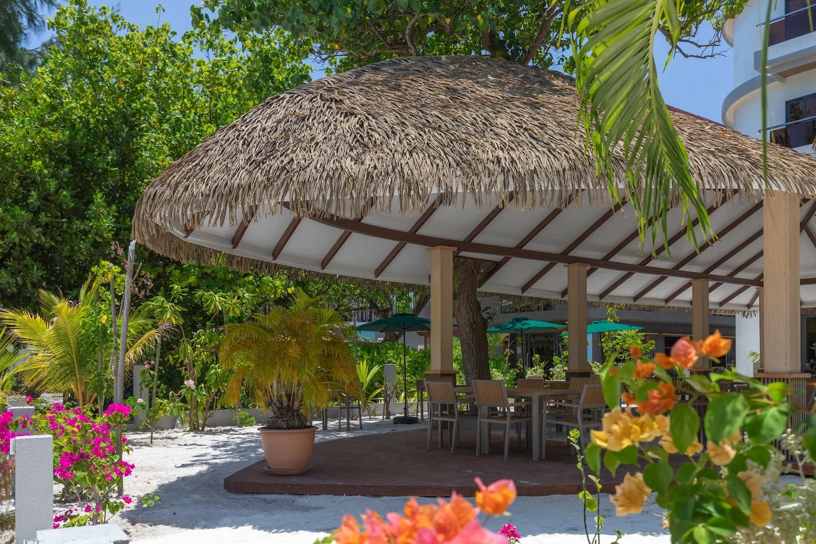 Arrival Beach and Spa