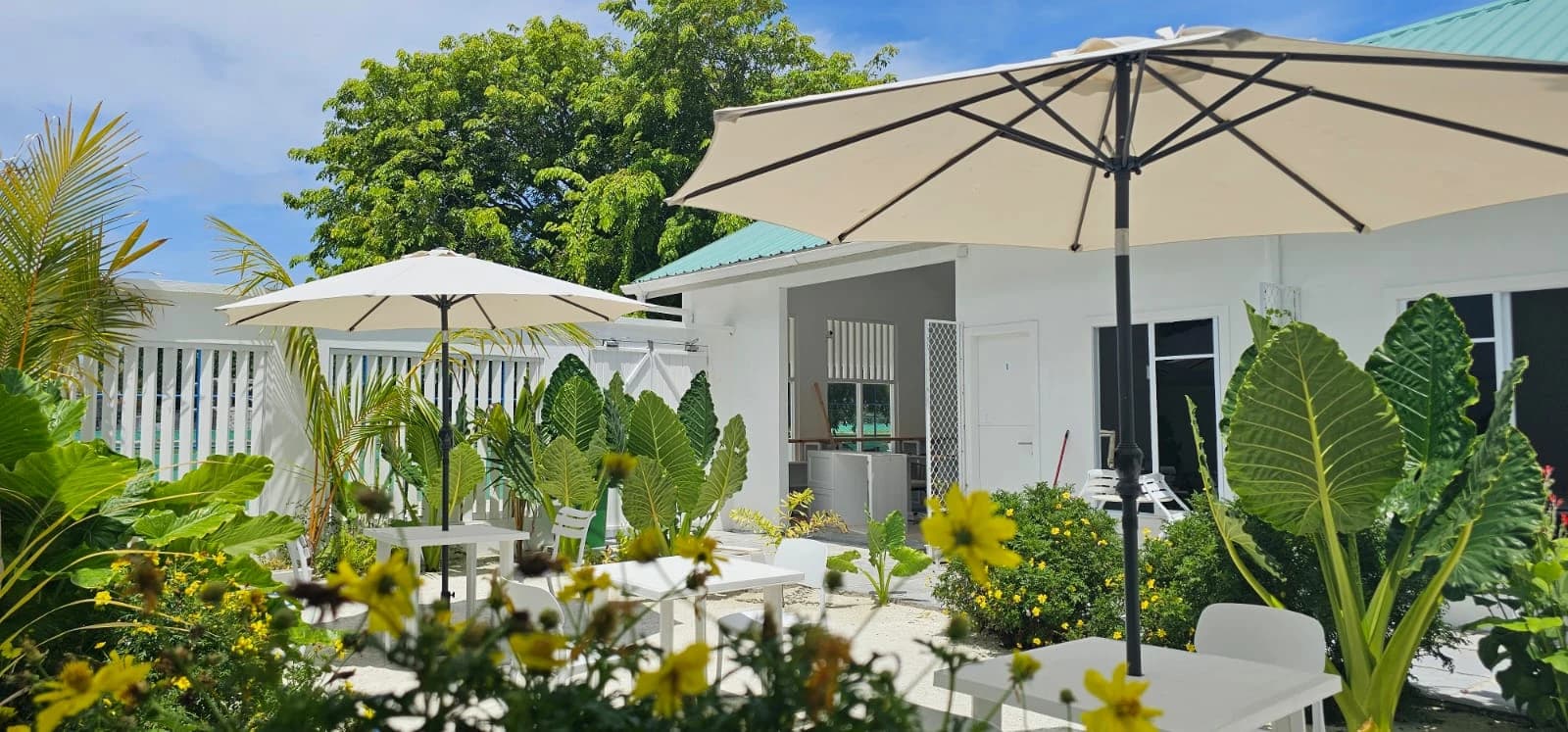 Avi Guesthouse