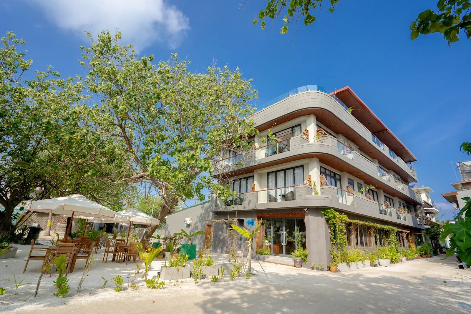 Ayala Ocean View