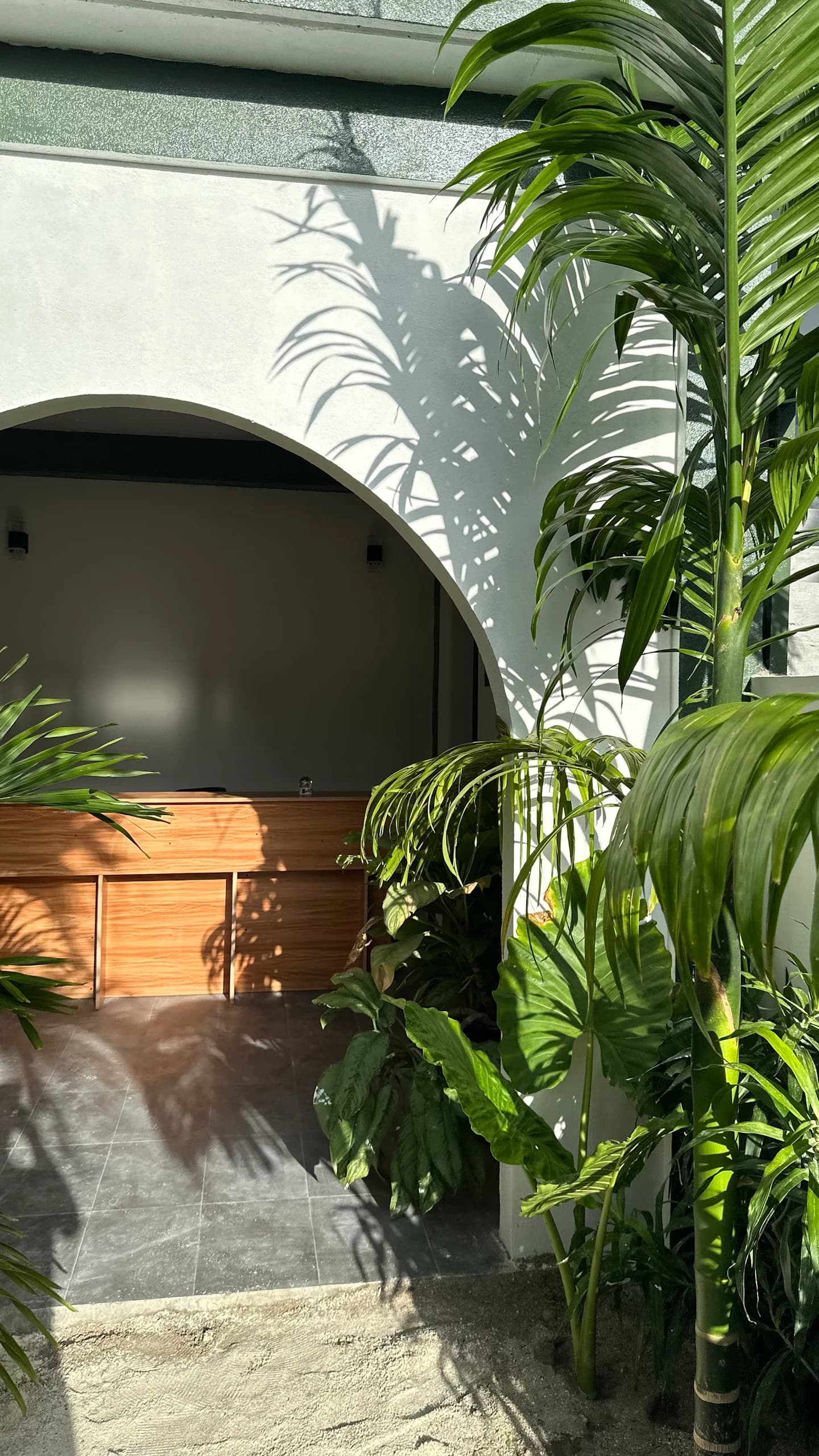 Dacha Thoddoo White Sand