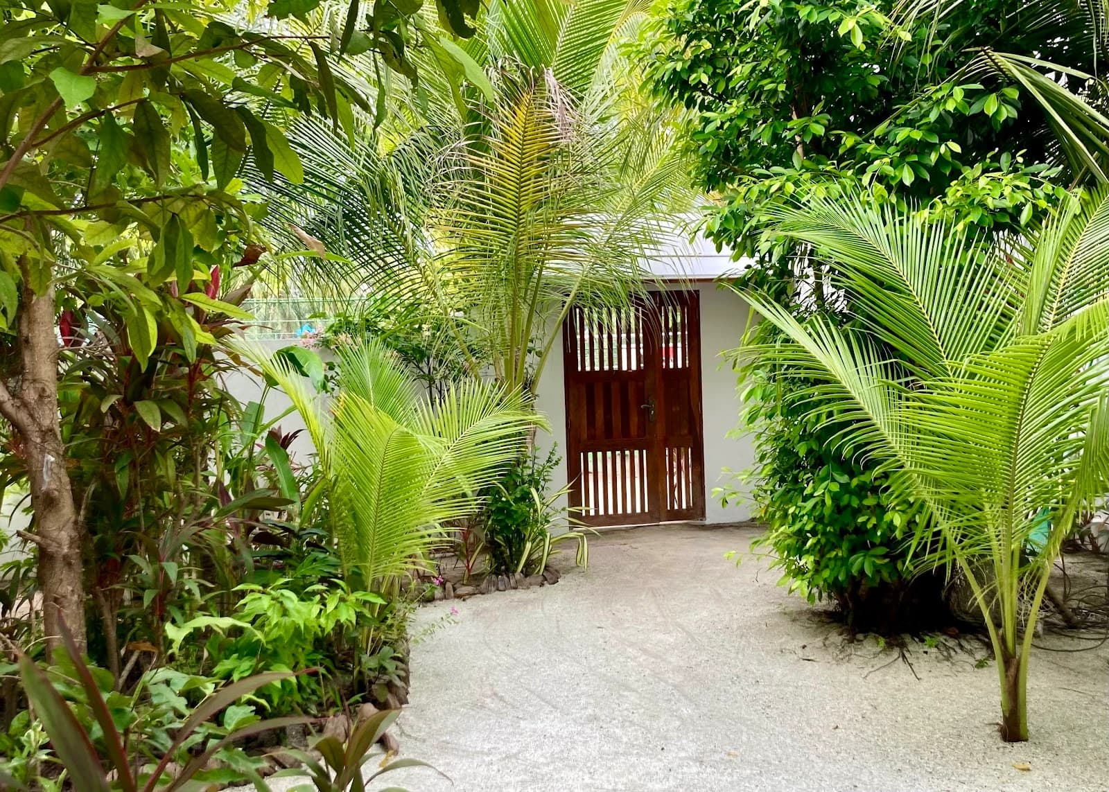 Dhangethi Retreat