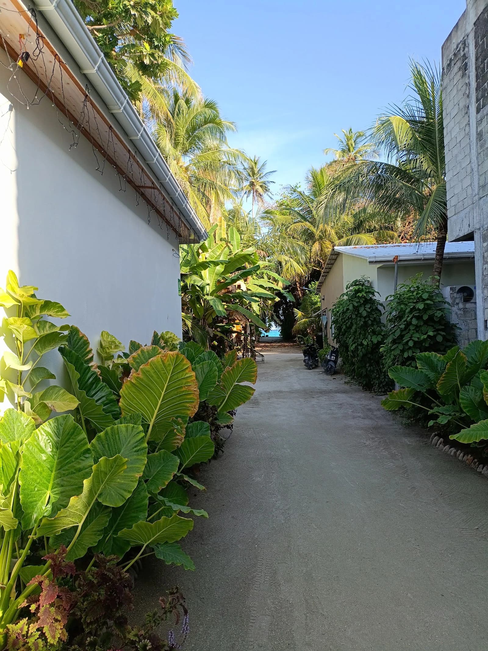 Infinity Beach Dhigurah