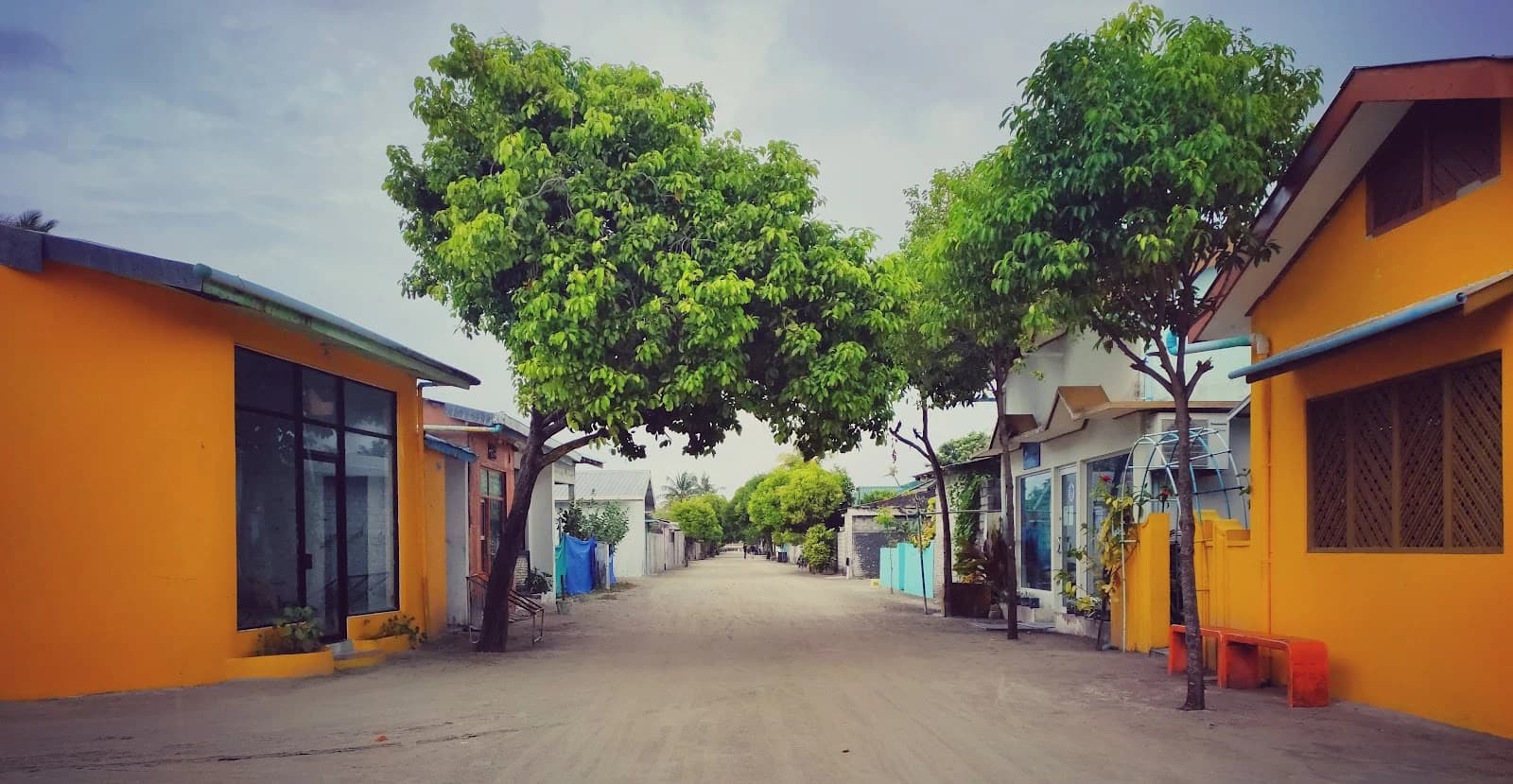Palm Villa