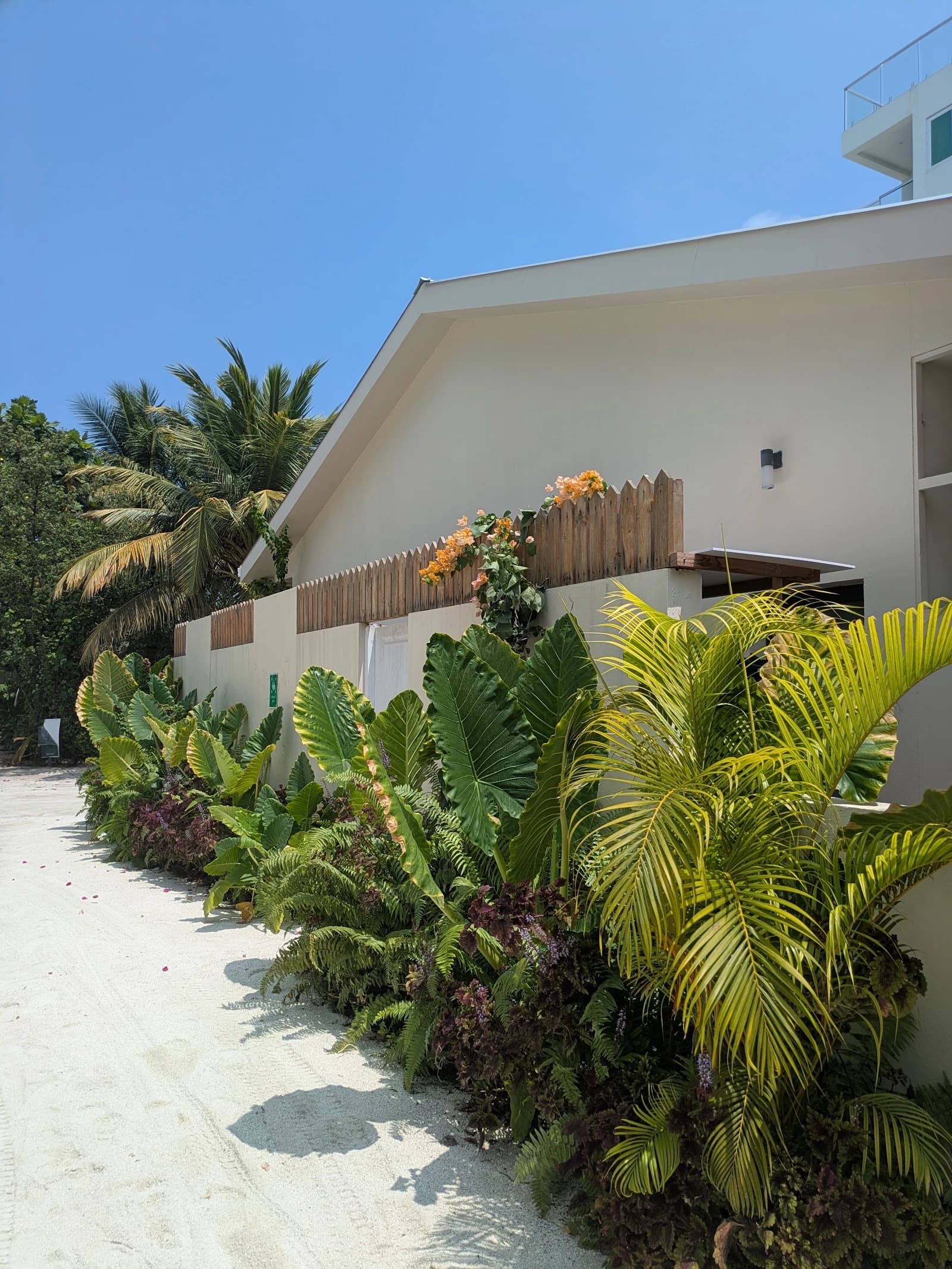Pearl Dhigurah