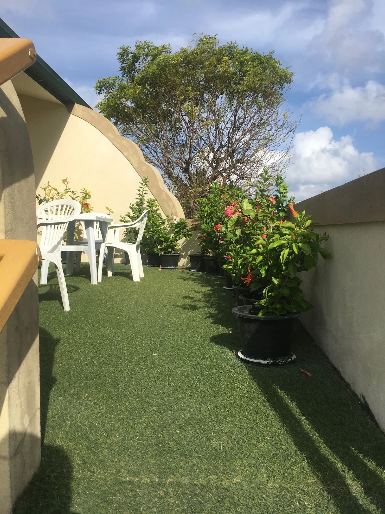 Seashine Guesthouse