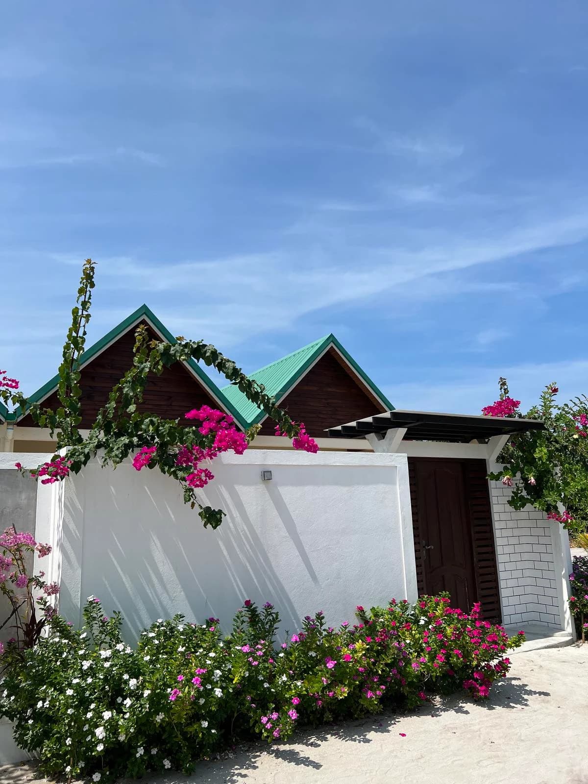 Stay Vashafaru
