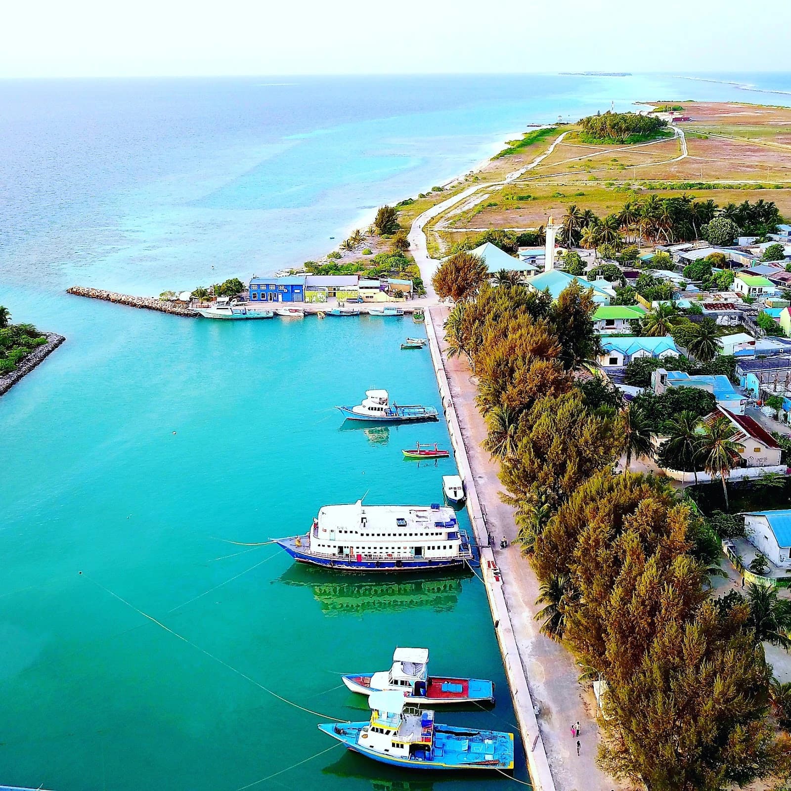 Surf Haven Farms & Chambers