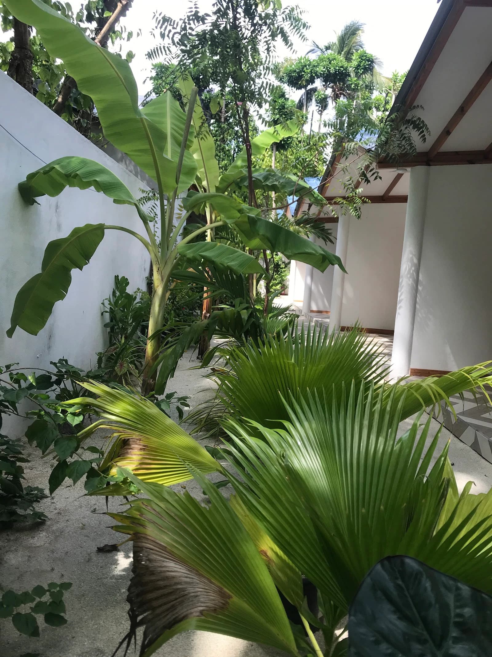 Thoddoo Haisha Inn