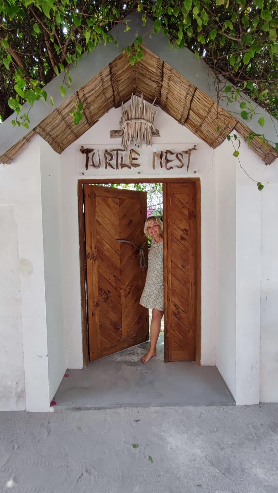 Turtle Nest