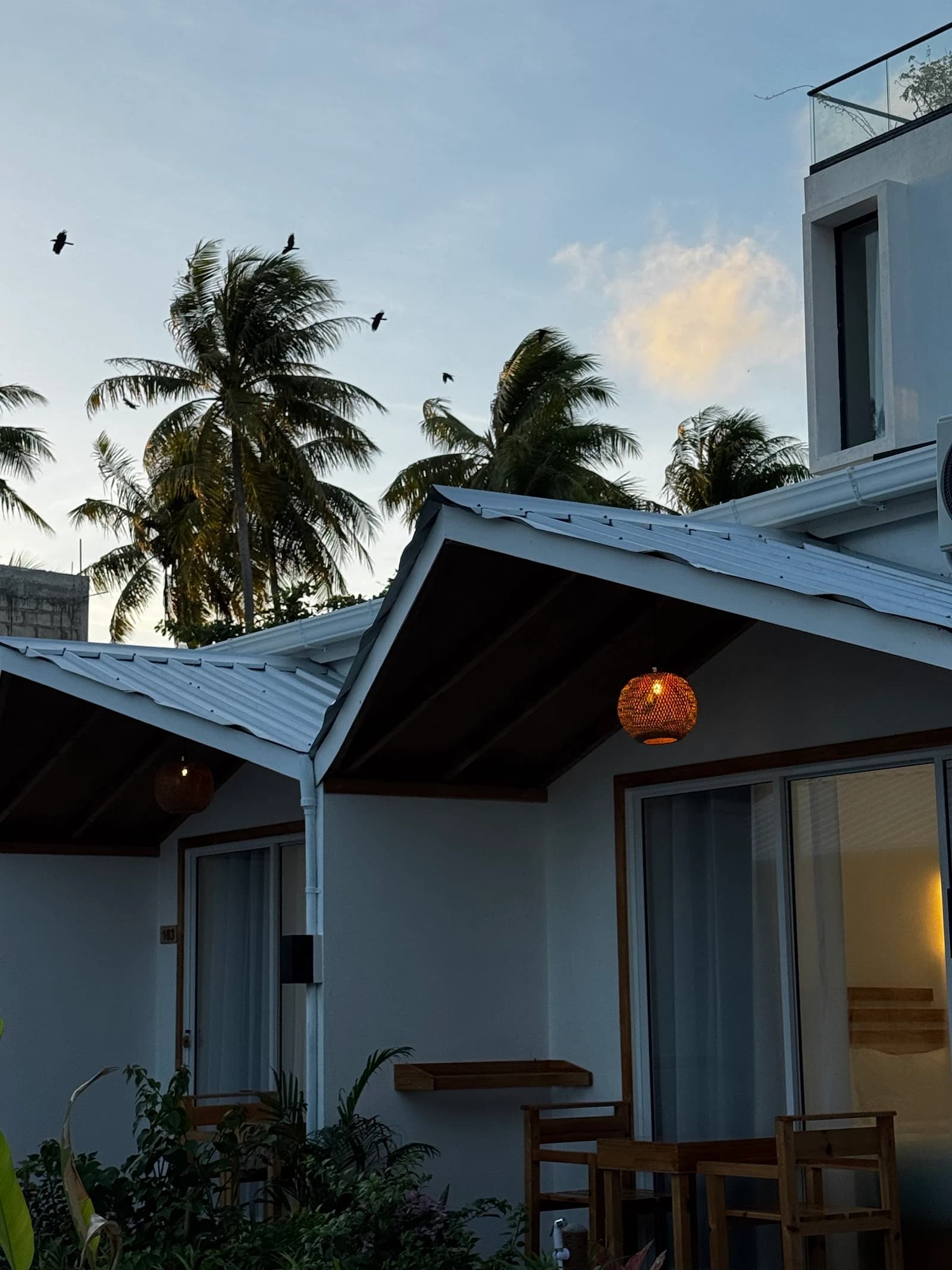 Boli Dhigurah