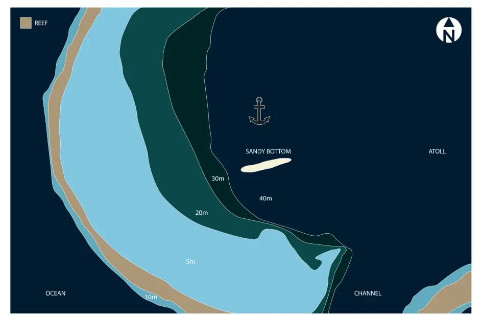 Bathymetric map of Carcharinus Sorrah