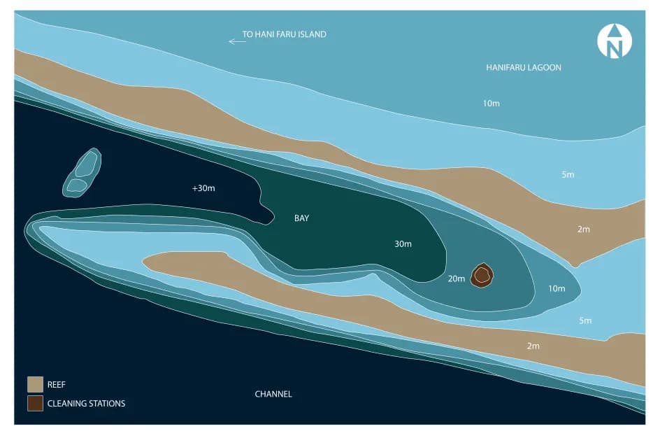 Bathymetric map of Hanifaru Lagoon