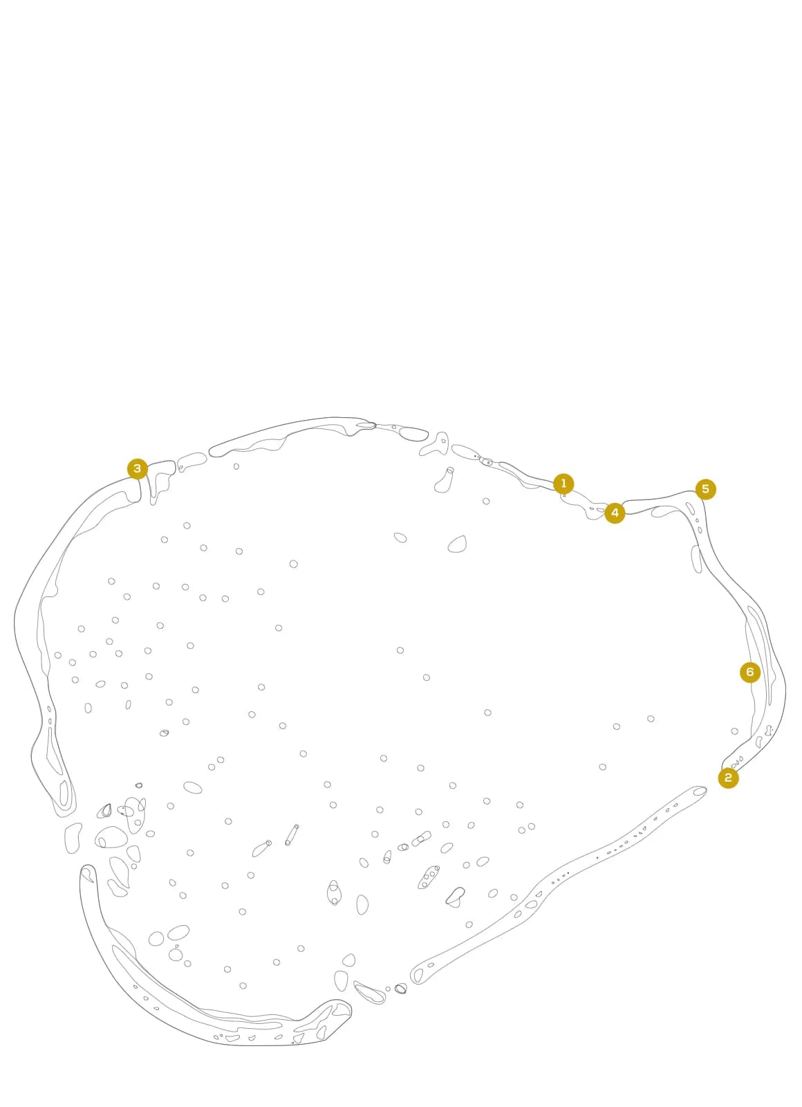 Bathymetric map of Muthaafushi Thila