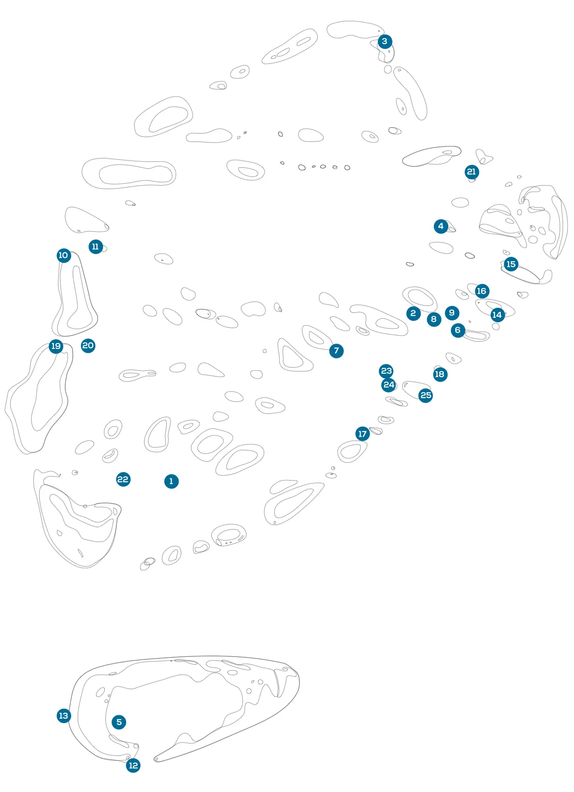 Baa dive overview