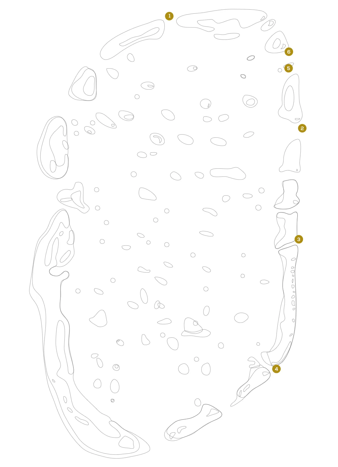 Dhaalu dive overview