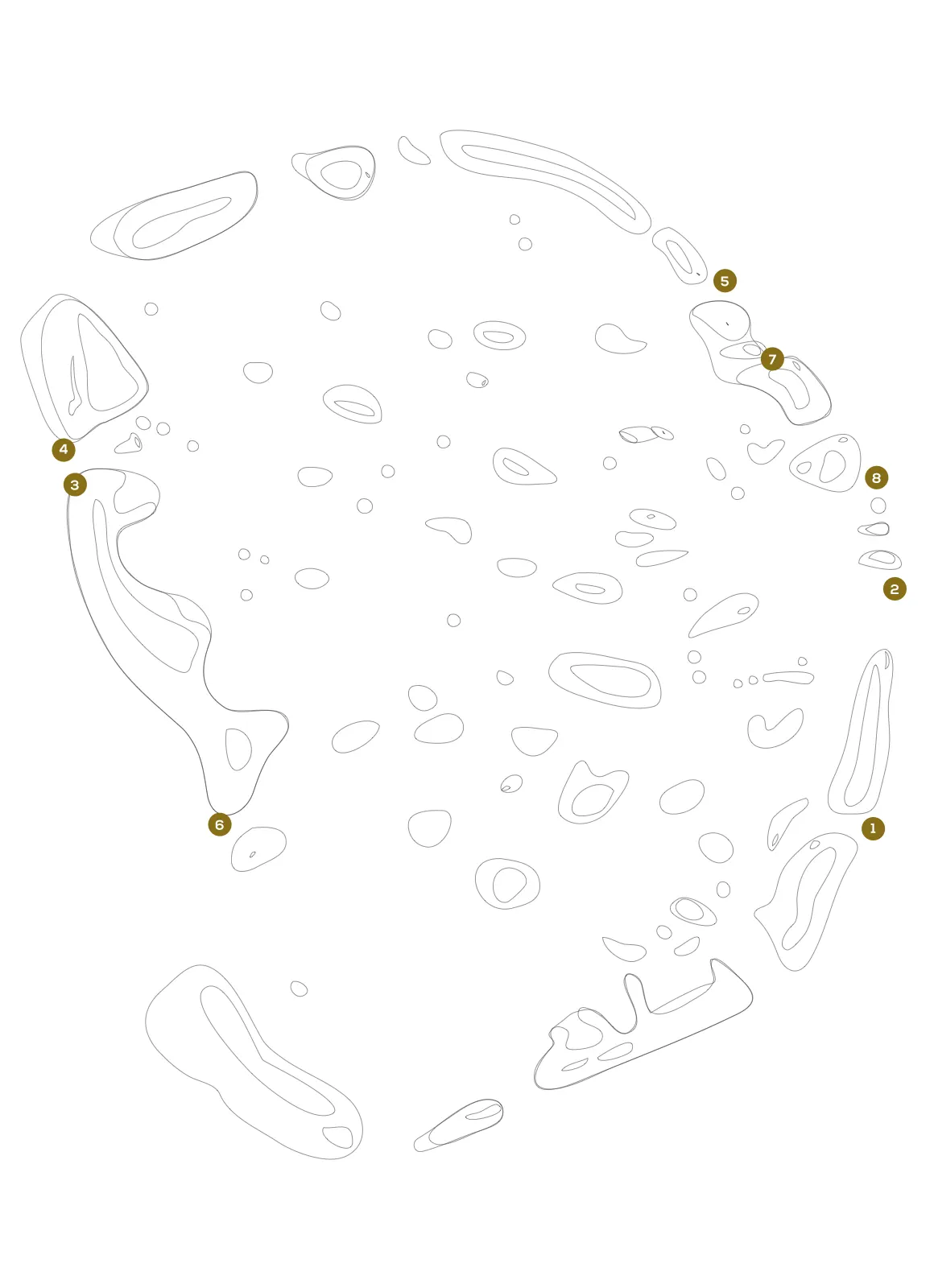 Faafu dive overview