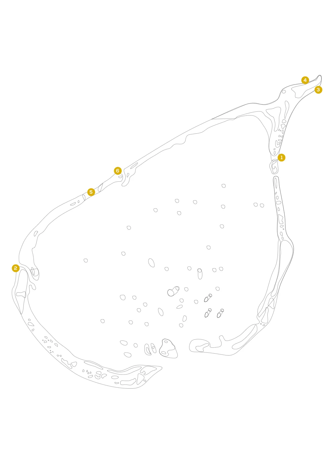 Laamu dive overview